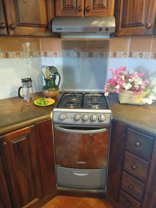 Lush Garden House Near Beaches With Private Pool. 푸에르토 에스콘디도 외부 사진